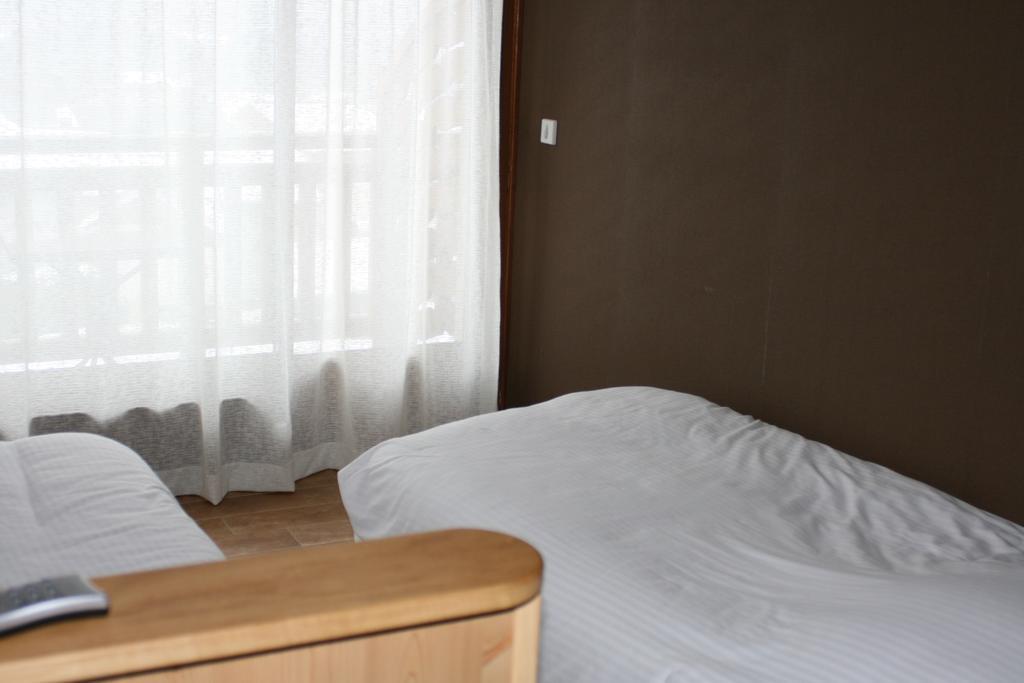 Accueil Savoyard 3*