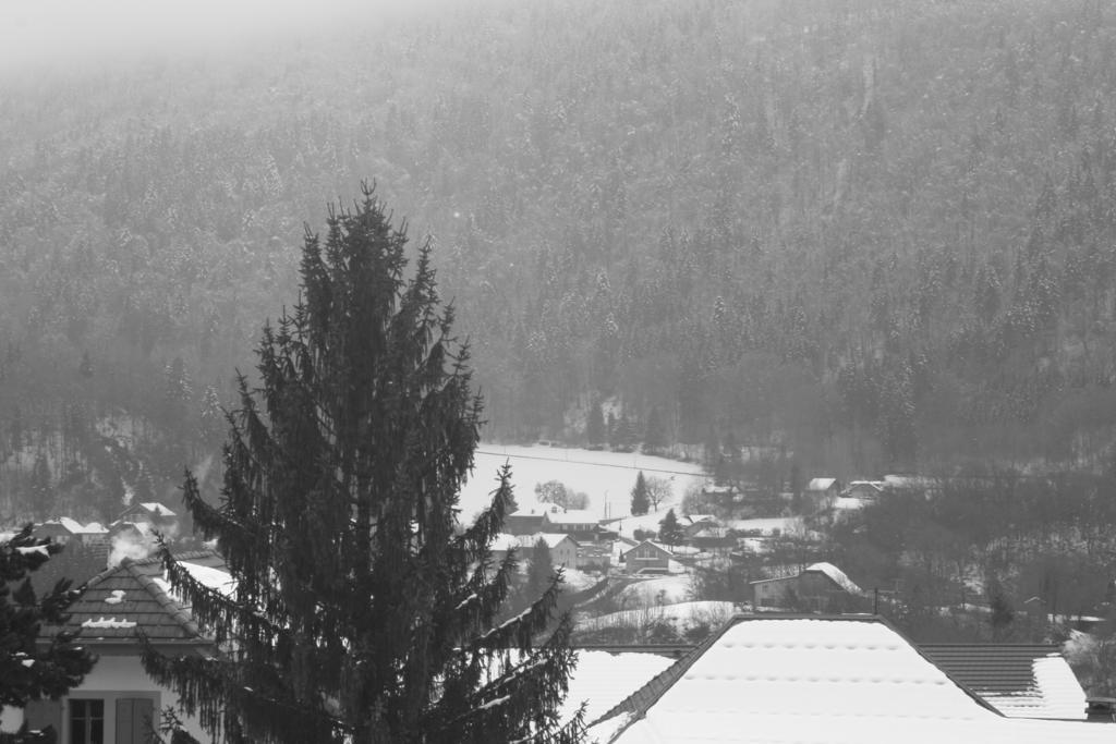 Accueil Savoyard Hotel